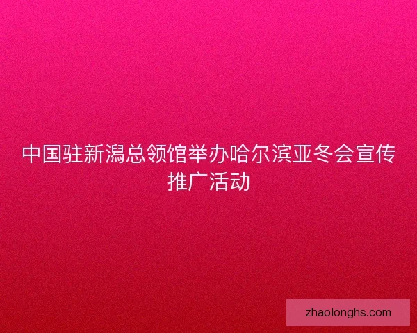 中国驻新潟总领馆举办哈尔滨亚冬会宣传推广活动
