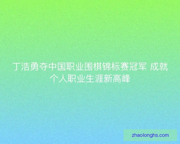 丁浩勇夺中国职业围棋锦标赛冠军 成就个人职业生涯新高峰