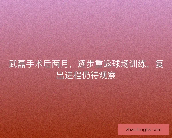 武磊手术后两月，逐步重返球场训练，复出进程仍待观察